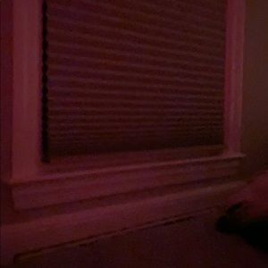 Meet your Posher, Jess